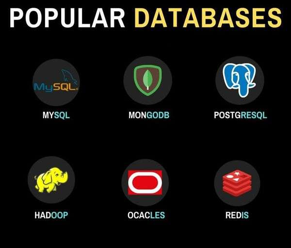 Top 6 Popular Database