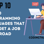 TOP 10 PROGRAMMING LANGUAGES THAT WILL GET A JOB IN ABROAD